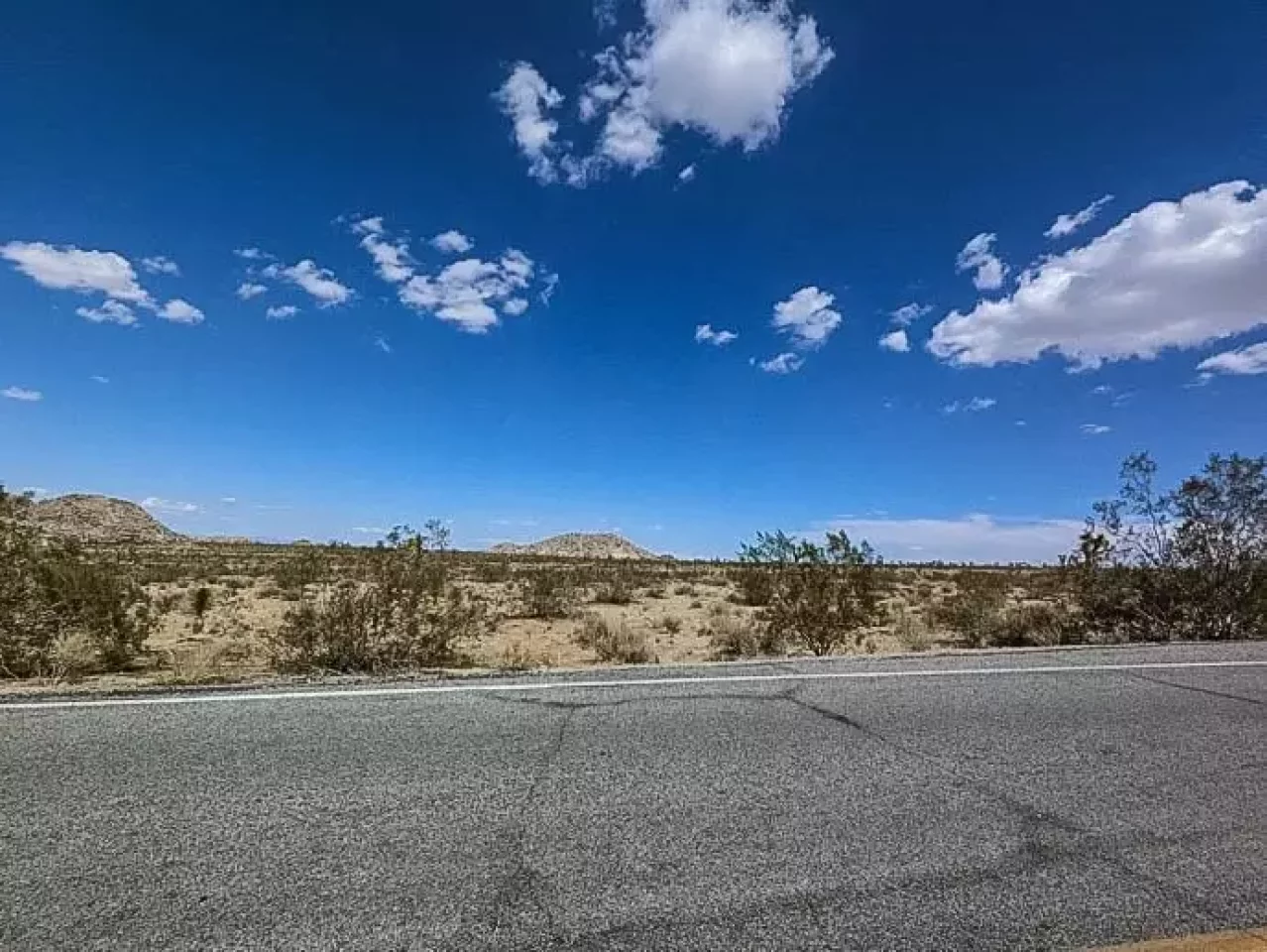 ジョシュアツリー