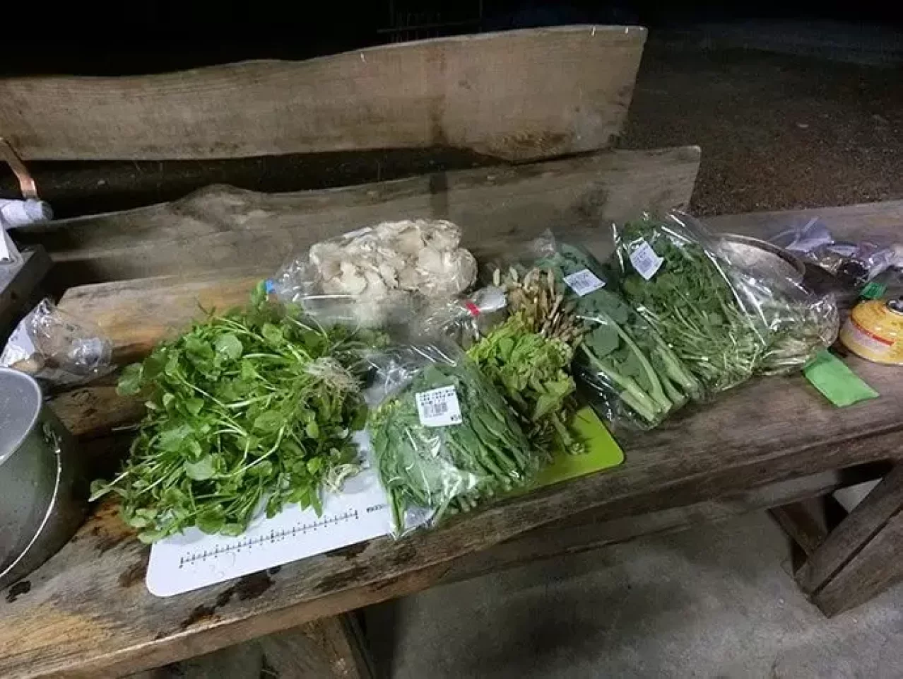 奥多摩の山菜類