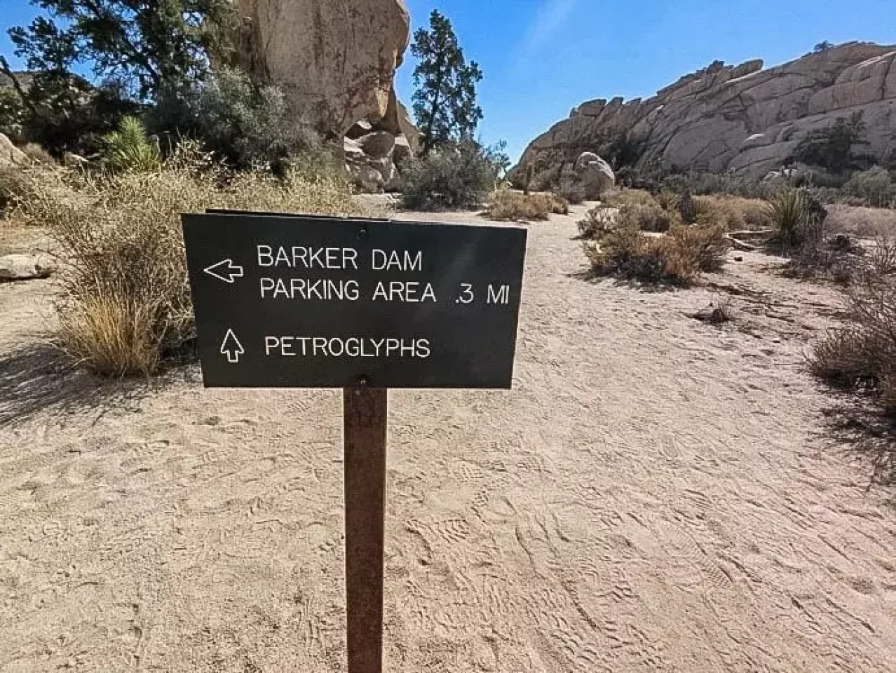 ペトログラフ ジョシュアツリー