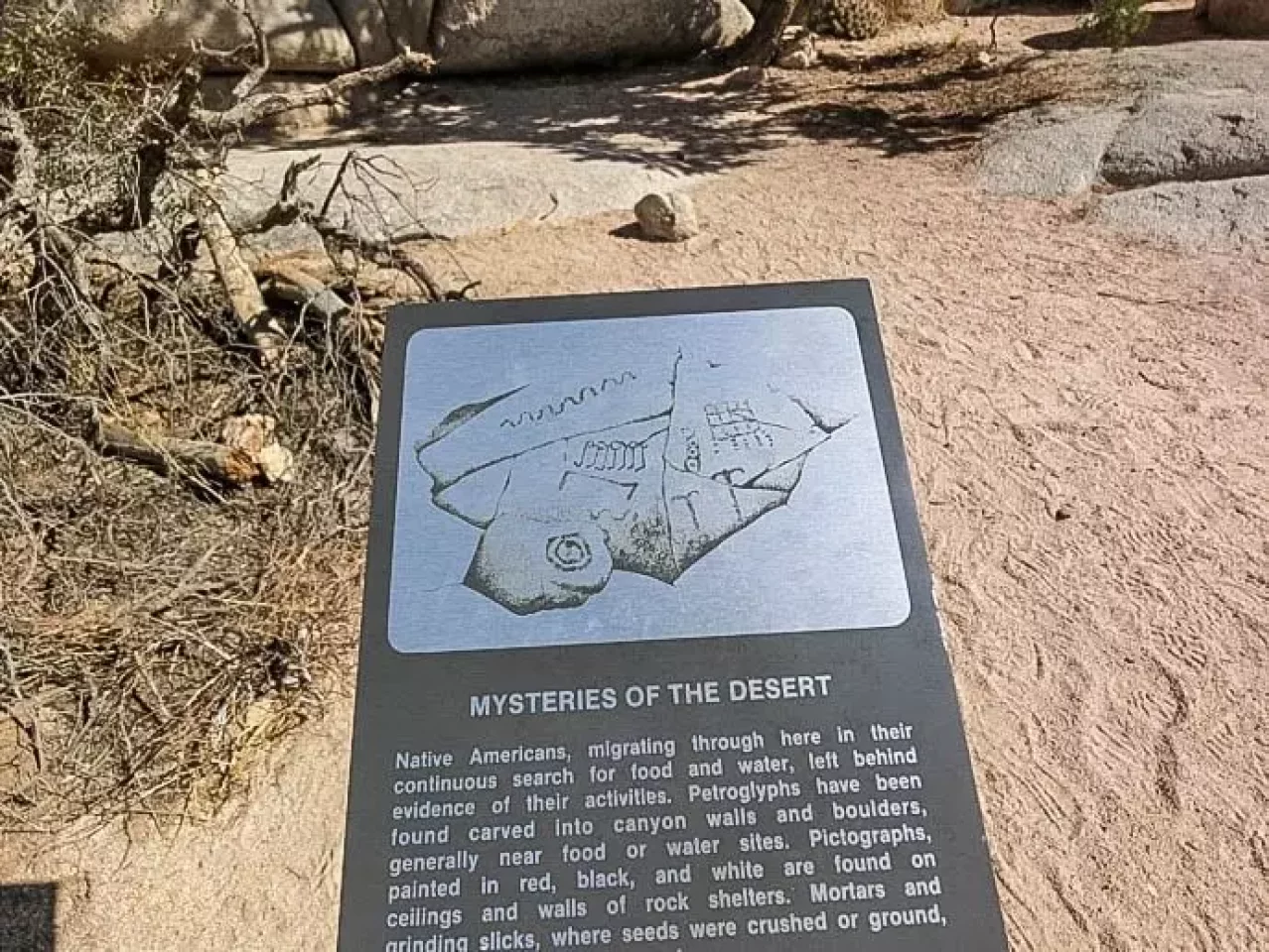 ペトログラフ ジョシュアツリー