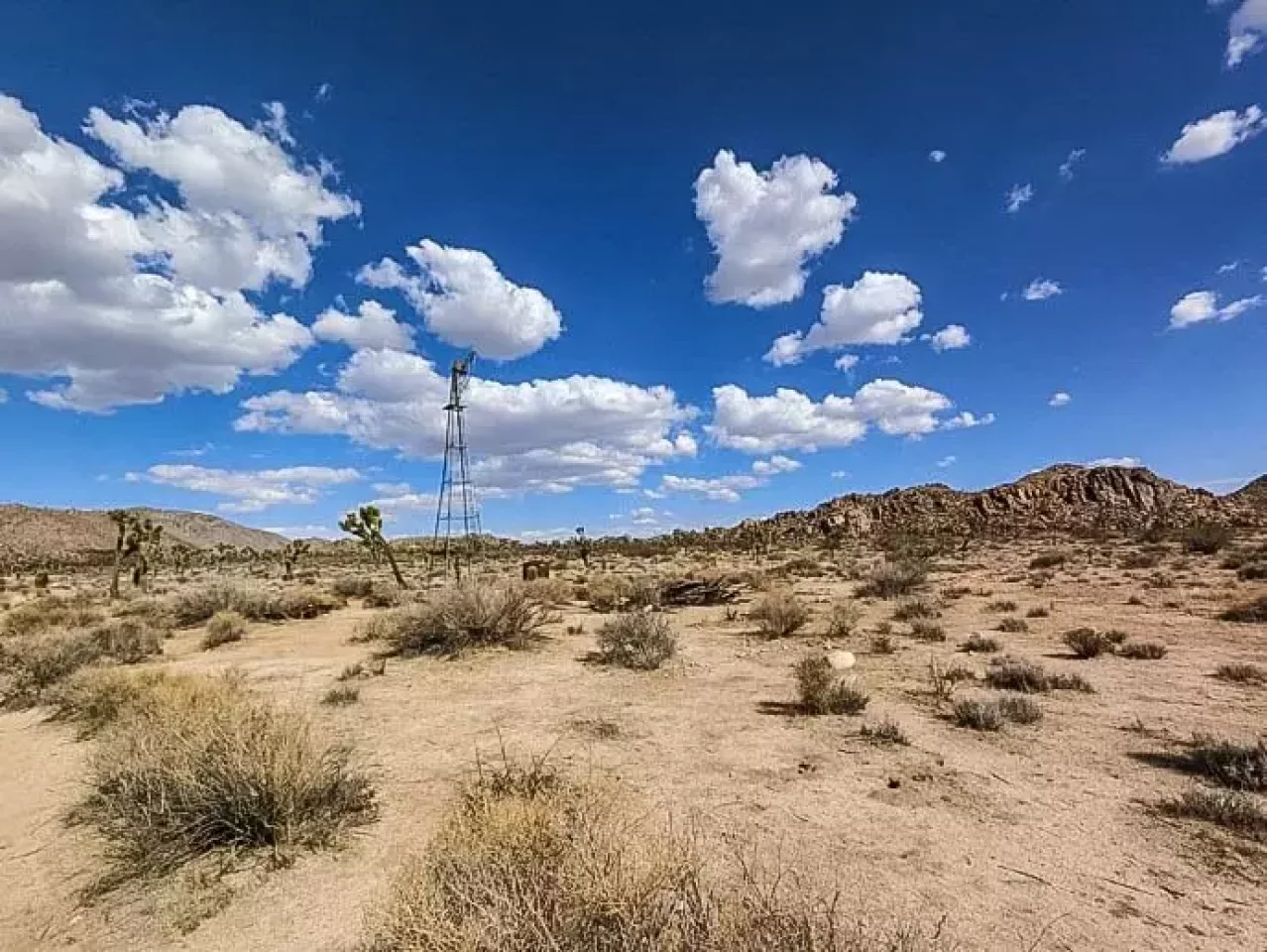 ジョシュアツリー キーズ牧場