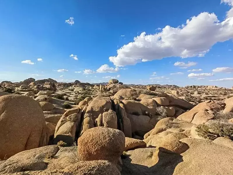 ジョシュアツリー キャンプ場