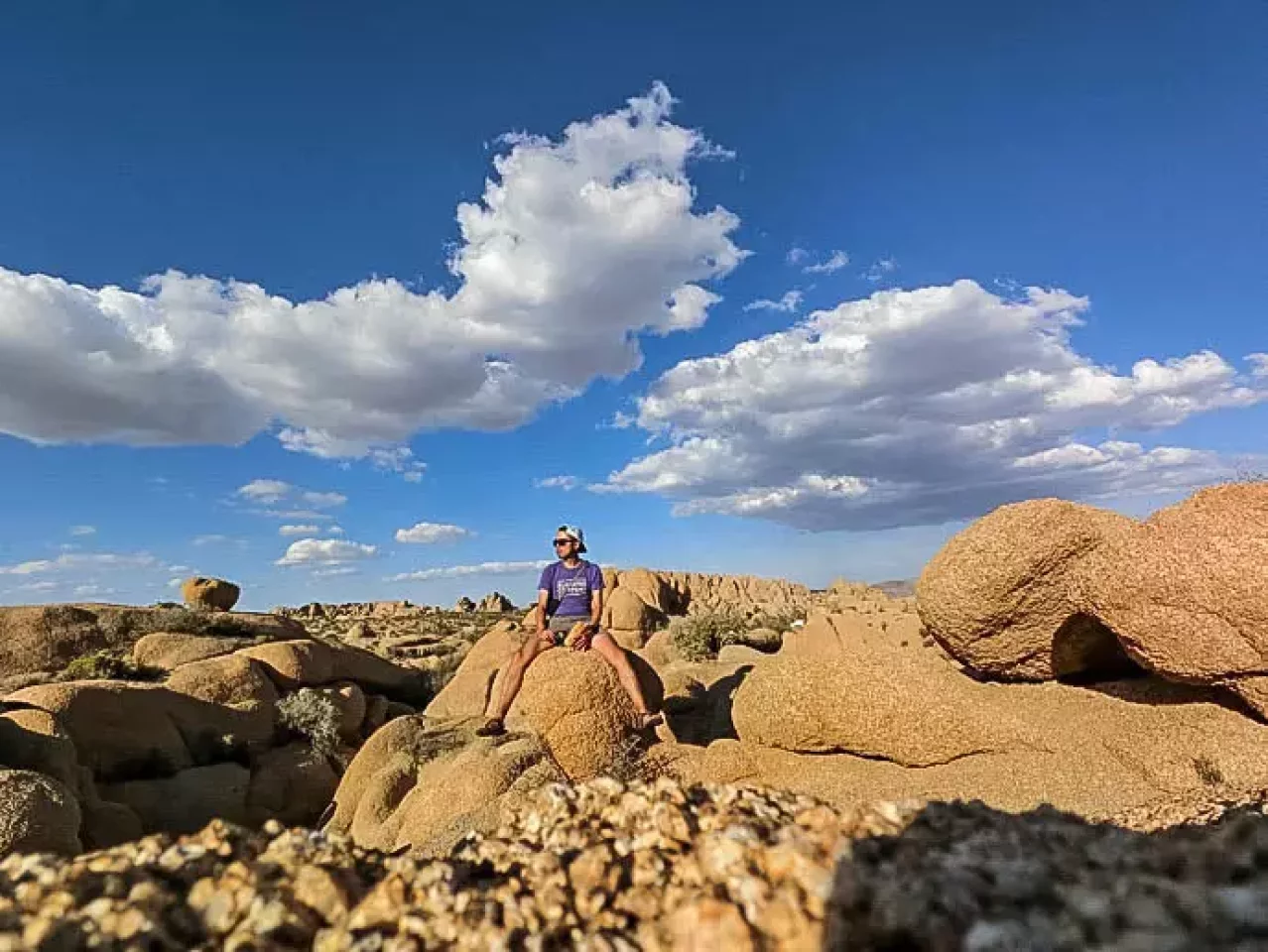 カリフォルニア ジョシュアツリー
