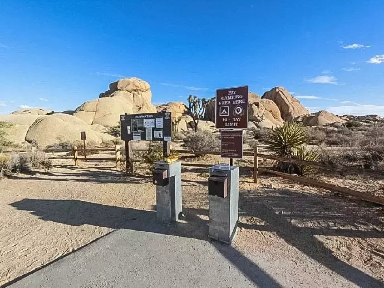 ジョシュアツリー キャンプ場