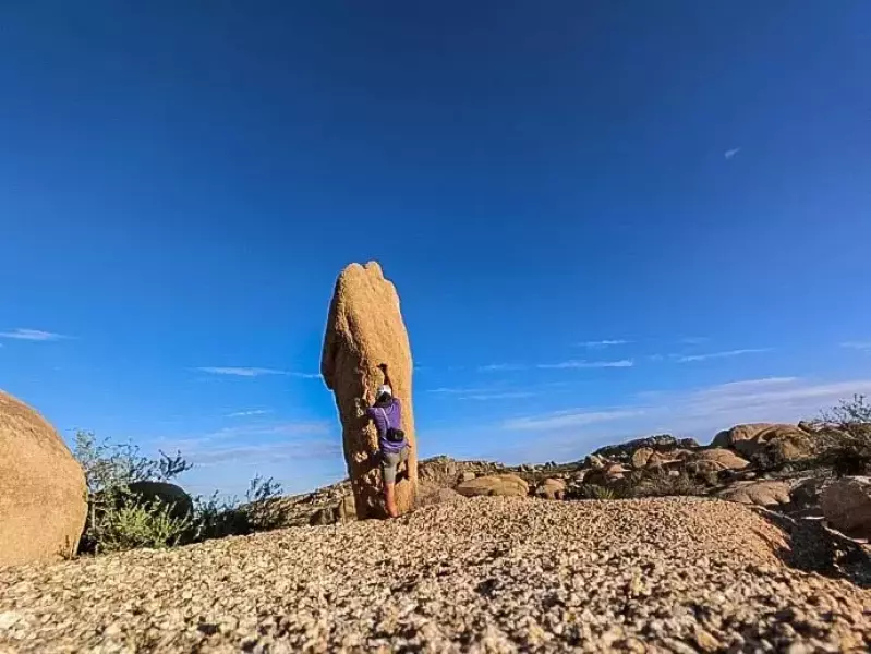 ジョシュアツリー 奇岩