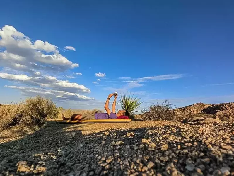 ジョシュアツリー 休憩