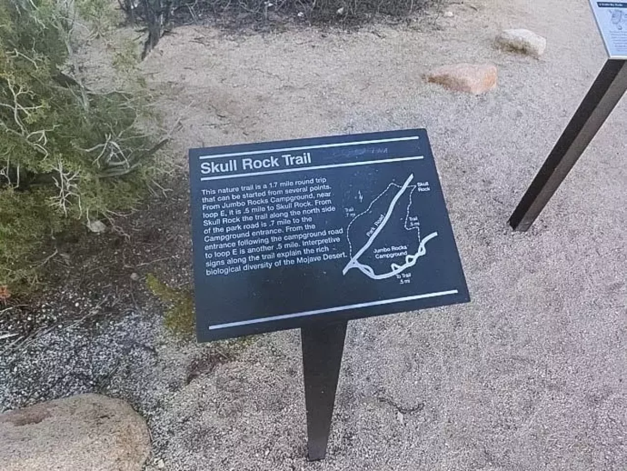 ジョシュアツリー スカルロック