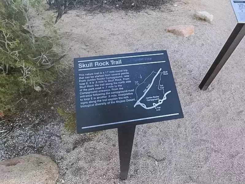 ジョシュアツリー スカルロック