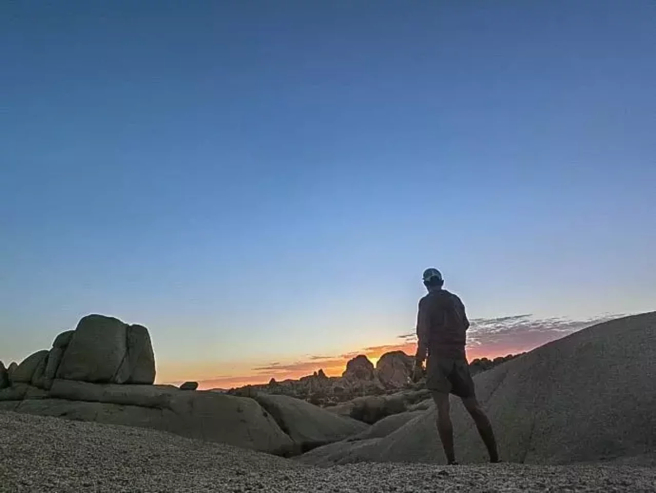 ジョシュアツリー 朝日