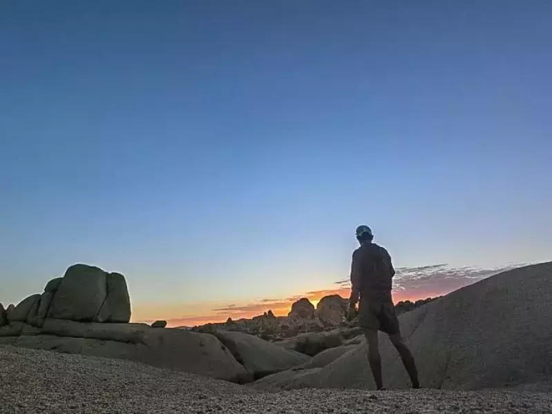 ジョシュアツリー 朝日