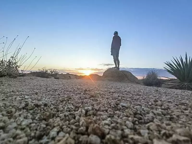 ジョシュアツリー 朝日