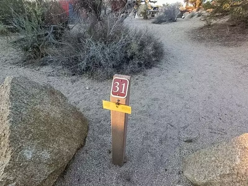 ジョシュアツリー キャンプ場