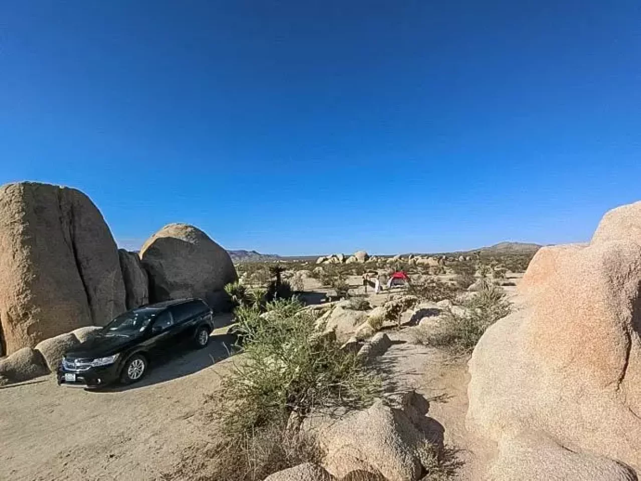 ジョシュアツリー キャンプ場