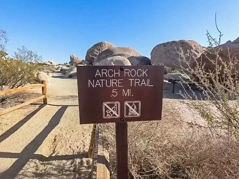 ジョシュアツリー アーチロック