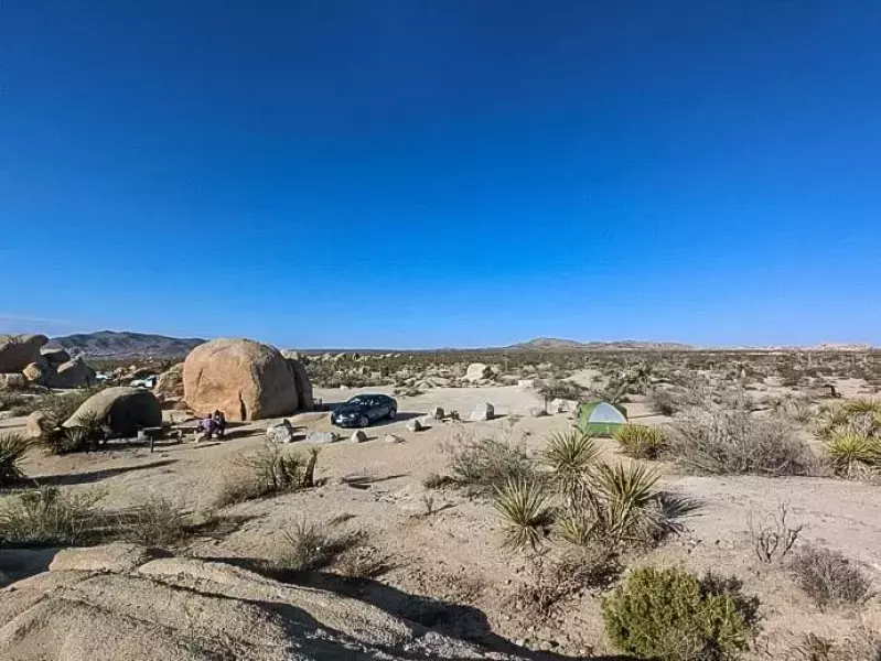 ジョシュアツリー テント場