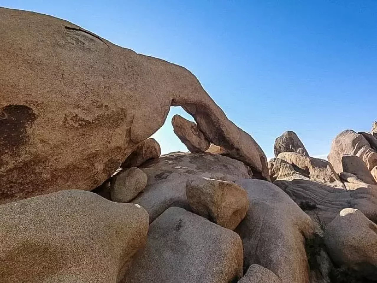 ジョシュアツリー アーチロック