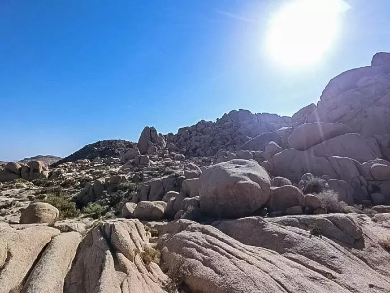 ジョシュアツリー スプリットロック