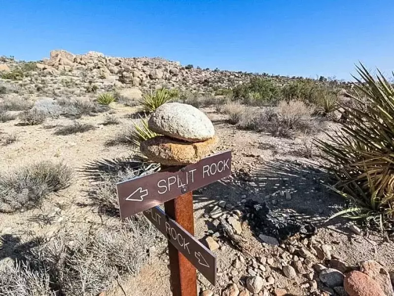 ジョシュアツリー スプリットロック