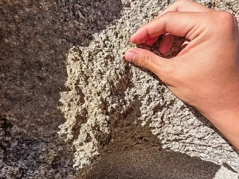 花崗岩は結晶粒子