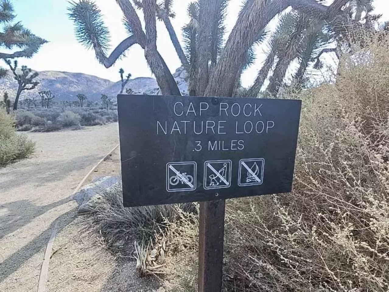 CAP ROCK