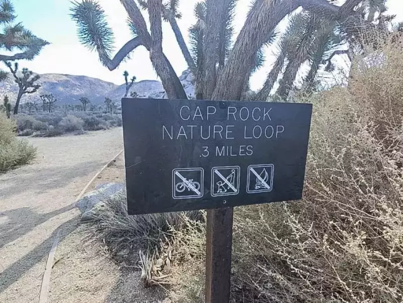 CAP ROCK