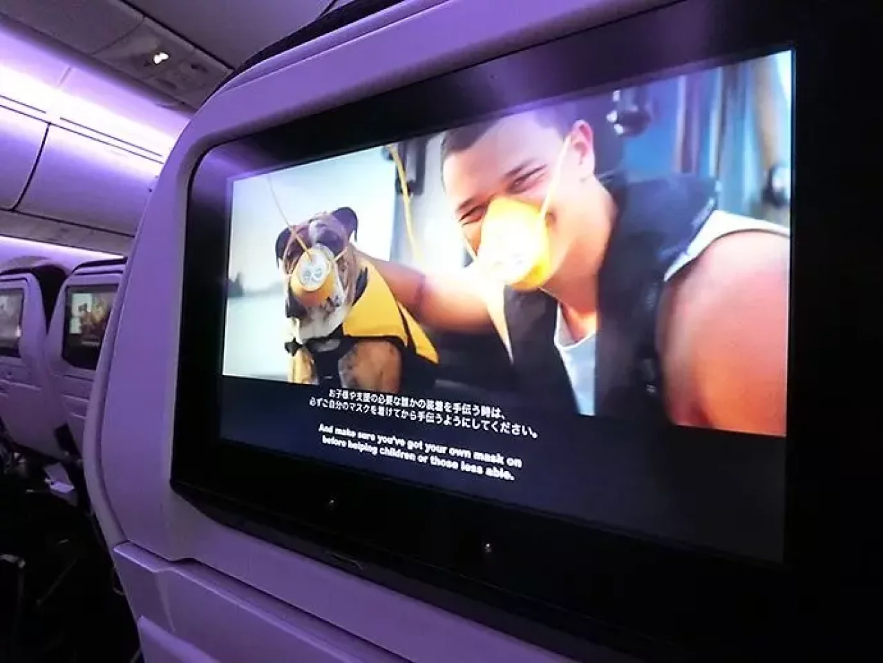 ニュージーランド航空の機内安全ビデオ