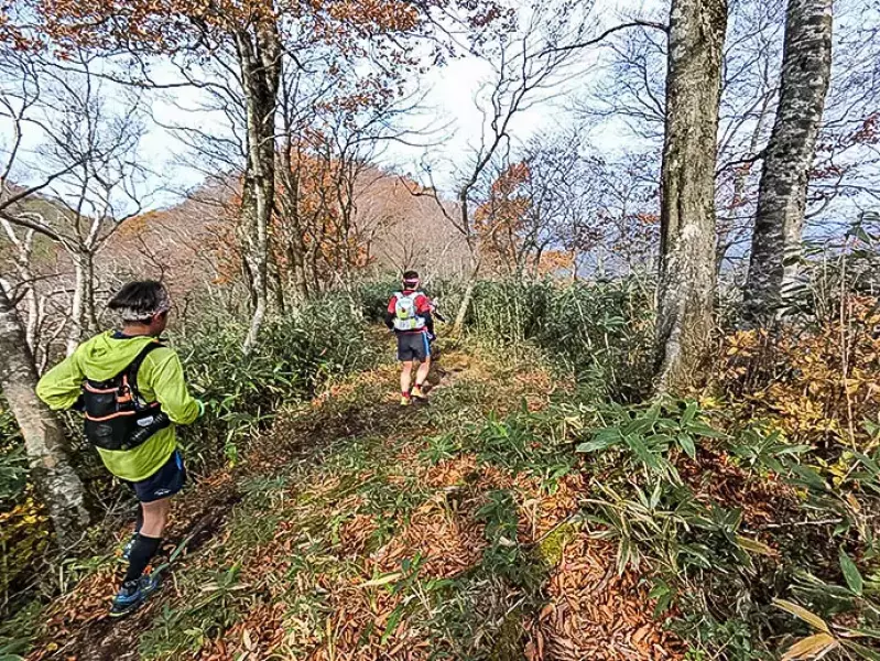 七時雨山でトレラン