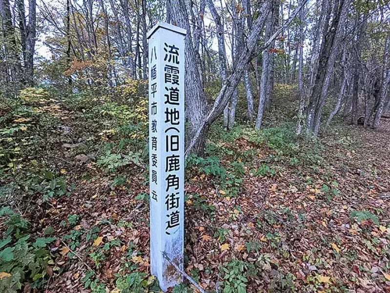 鹿角街道