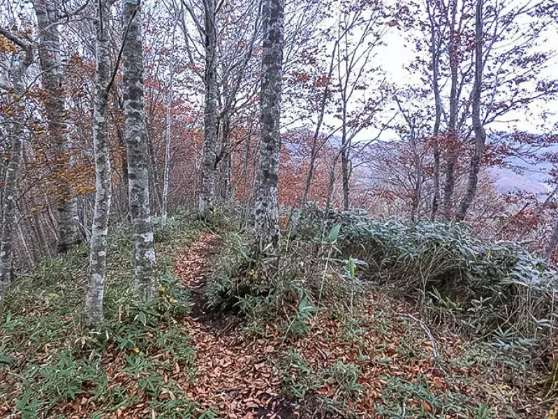 七時雨山