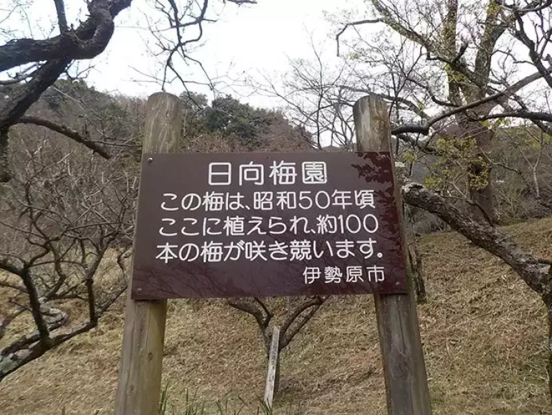 日向梅園