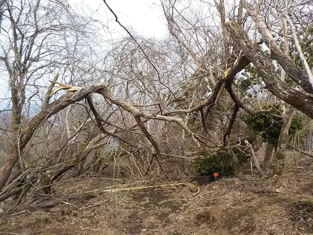 不動尻に向かうトレイル