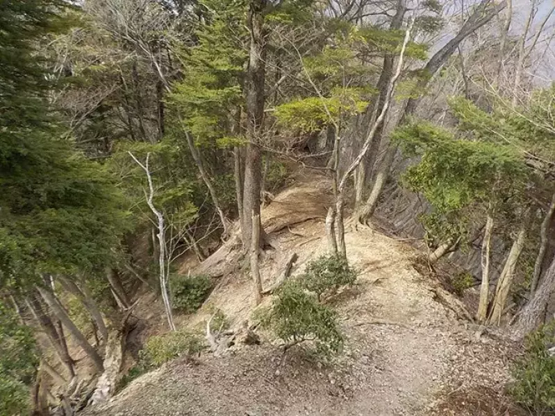 不動尻に向かうトレイル