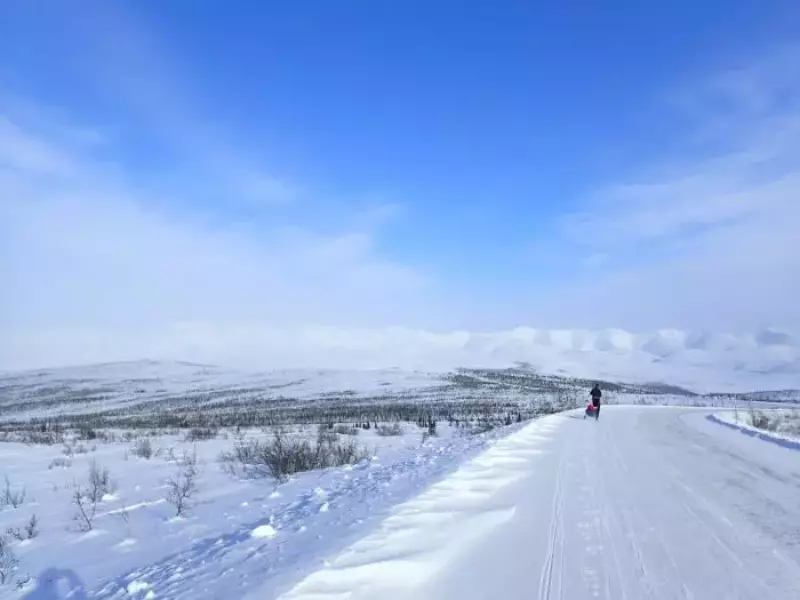6633 Arctic Ultra