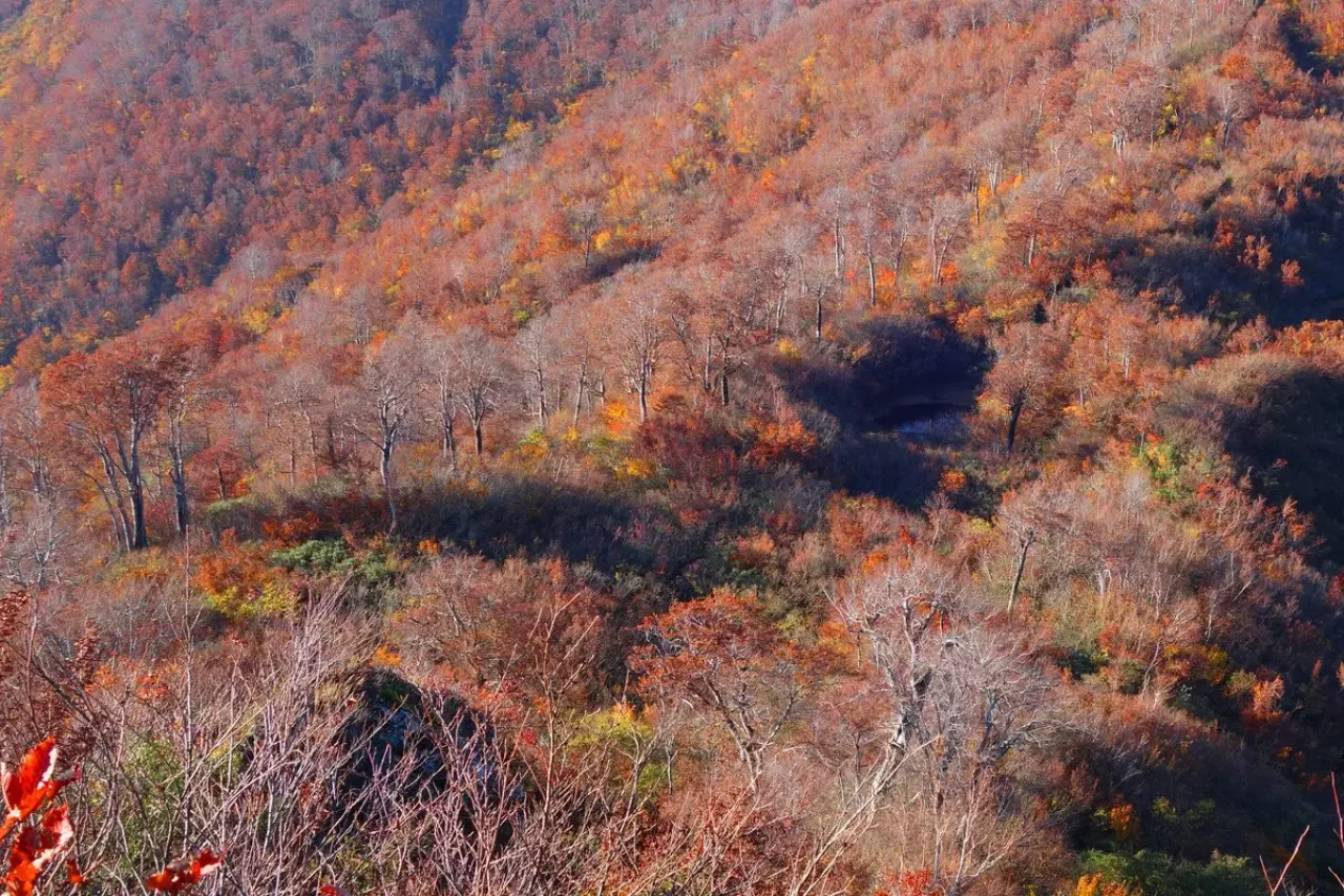 八海山 紅葉 登山