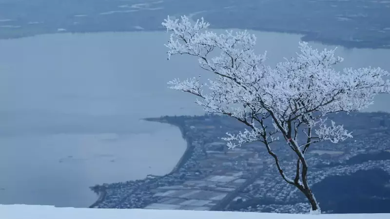 新年最初の雪山登り『蓬莱山』-雪山登山のトラブルをチェックして安全な登山を楽しもう