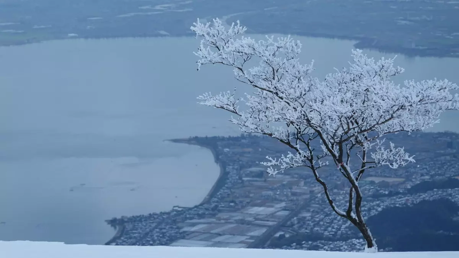 新年最初の雪山登り『蓬莱山』-雪山登山のトラブルをチェックして安全な登山を楽しもう