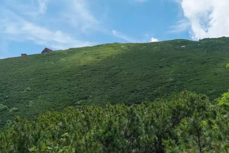 前小河内岳