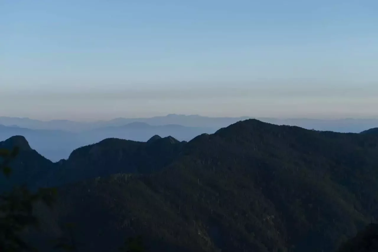 高山避難小屋からの登山道最初は樹林帯