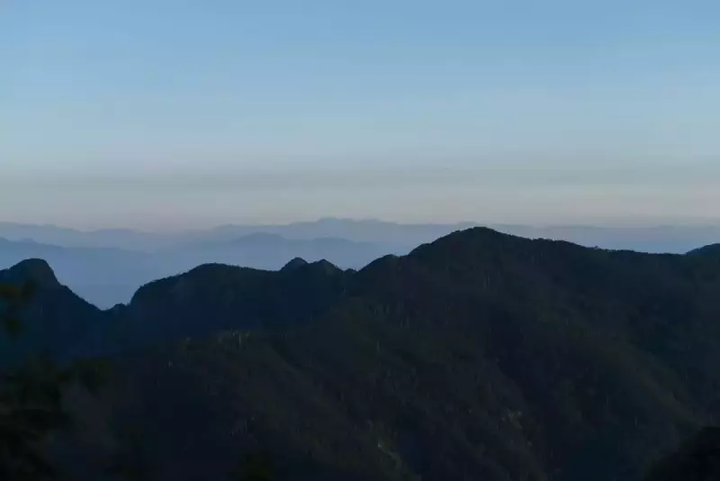 高山避難小屋からの登山道最初は樹林帯