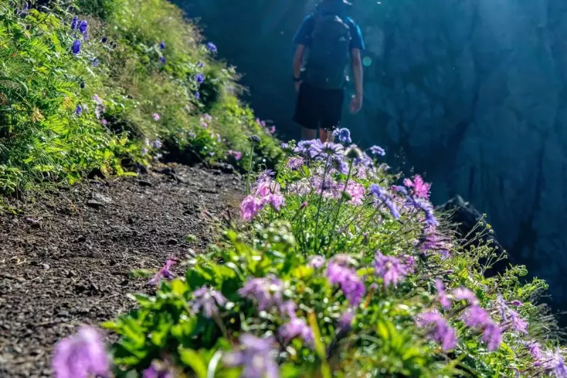 悪沢岳からの眺め