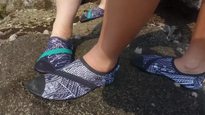 フィットキックスの特徴