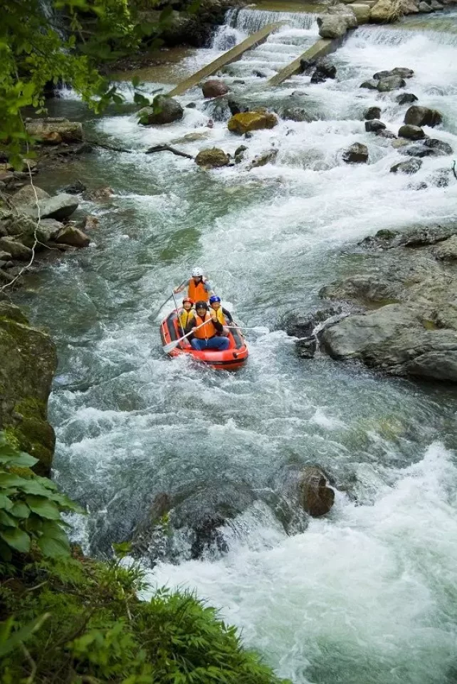 ツリーピクニック アドベンチャー いけだ