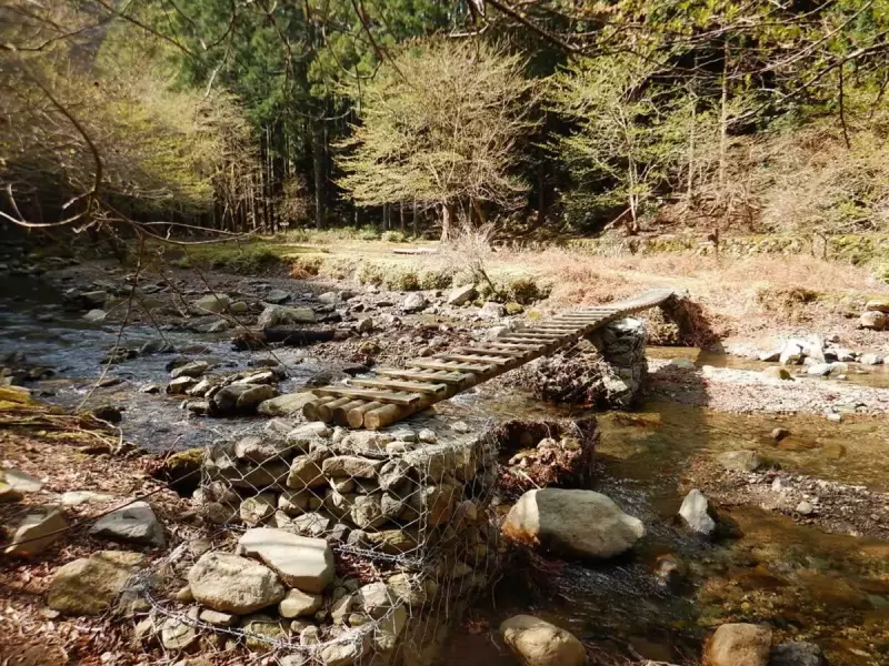 大山三峰山 登山 登山道