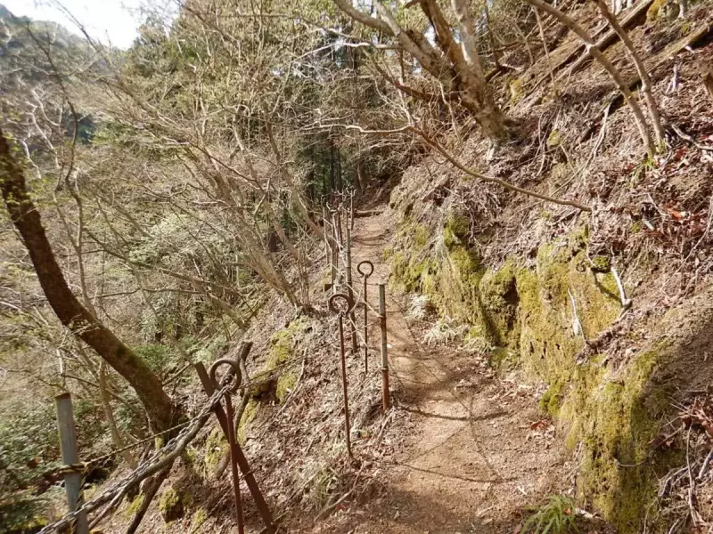 大山三峰山 登山 登山道