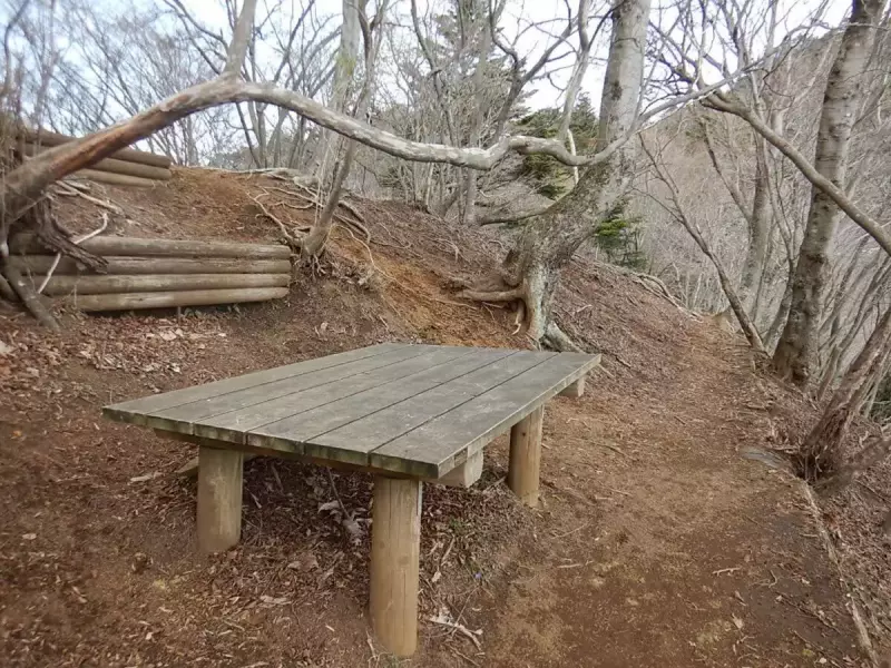 大山三峰山 登山 登山道