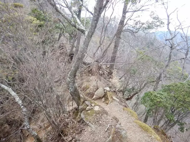 大山三峰山 登山 登山道