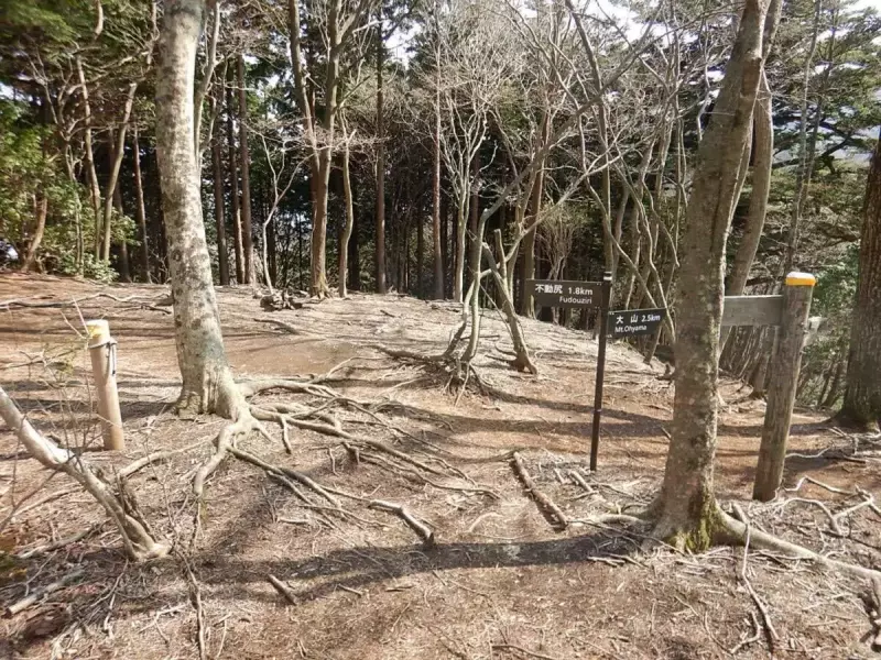 大山三峰山 登山 登山道