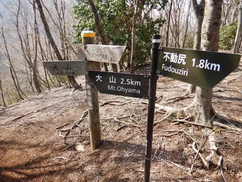 大山 登山 おすすめ 分岐