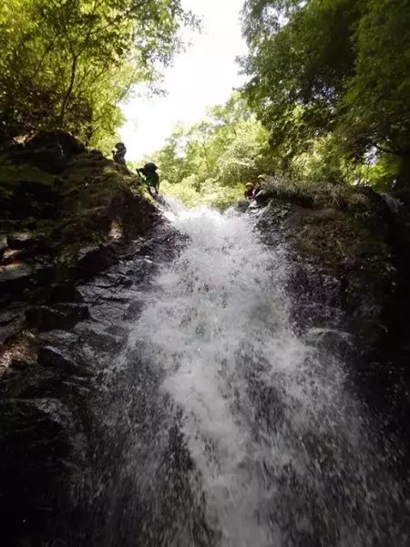 DSCN0768-768x1024
