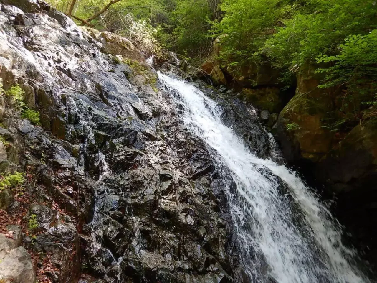 丹沢 三ノ塔 葛葉川本谷
